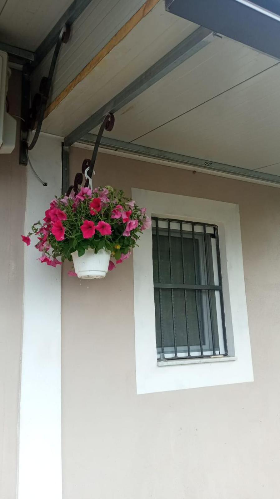 A Casa Di Nonna Anna Villa Ercolano Exteriör bild